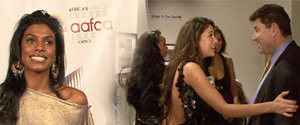 2011 African American Film Critics Awards